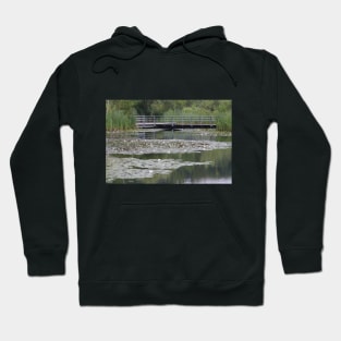 A Pond at The Brickworks in Toronto Hoodie